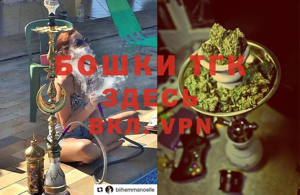 эйфоретик Аркадак