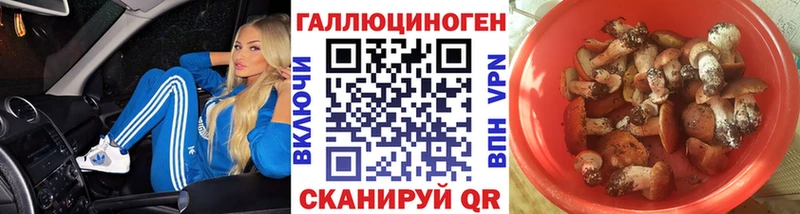 Псилоцибиновые грибы GOLDEN TEACHER  Купить где  Малоярославец 